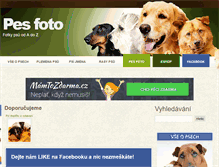 Tablet Screenshot of pes-foto.cz